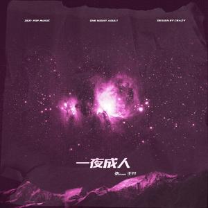 一夜成人