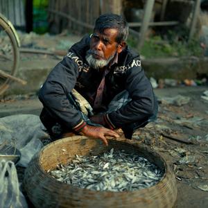 Phone-er Alo Ghore Andhar (ফোনের আলো ঘরে অন্ধার)