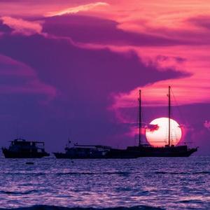 再次与你同行 熊大 熊二 光头强