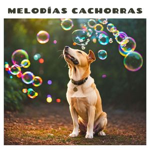 Caricias