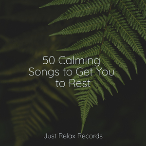 Enigmatic Soarings Above