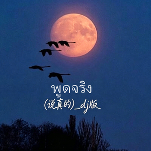 พูดจริง（说真的）dj版