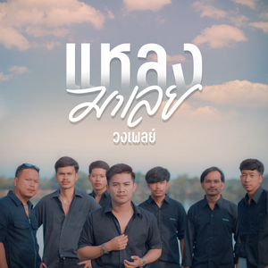 แหลงมาเลย (แล้วไซรไม่แหลง)