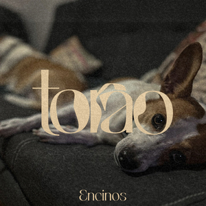 Encinos