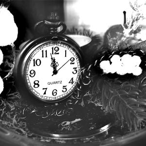 No One Really Believed