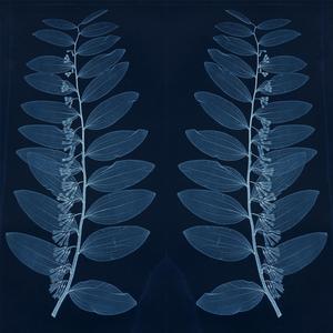 The Fabric of Our Being