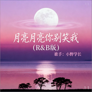 月亮月亮你别笑我(R&B版)