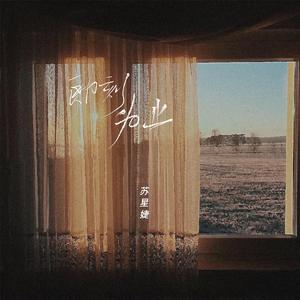 苏星婕-即刻为止（DJ阿财 remix）