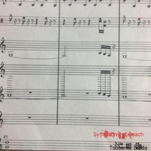 Shigure (drizzling rain) (1.00)