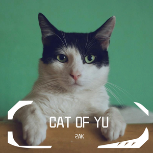 小宇的猫(prod.by Lv9)