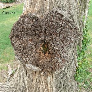 PLEASE PLEASE WE NEED BEES