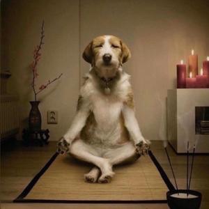 1v1 (feat. wave2hii)