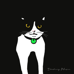 일요일의 고양이