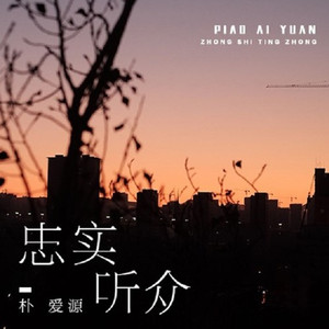 忠实听众 (纯音乐)