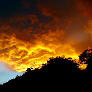 Reds Yellows Greens Blues