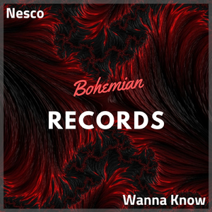 Wanna Know (Original Mix)