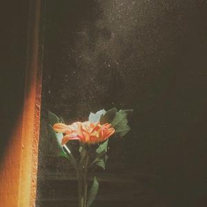 For You