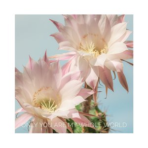 Only You Are My Whole World