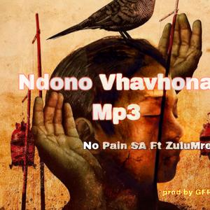 Ndono Vhavhona (feat. ZuluMrepa)