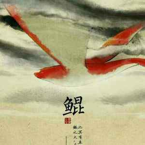 大鱼（半音阶口琴）（翻自 周深）