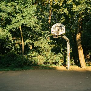 多情总被无情伤