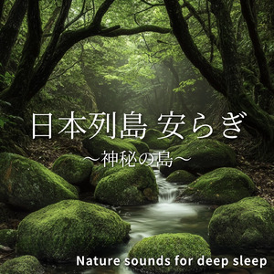 睡眠用BGM 海辺の夜風と眠りの音