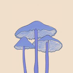 #1 (inspired by DiscoMark)