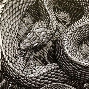 烂圈子杀手