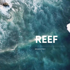 Reef