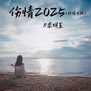 伤情2025 (抒情女版)