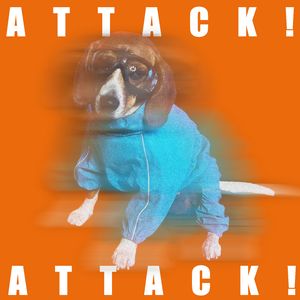 ATTACK!