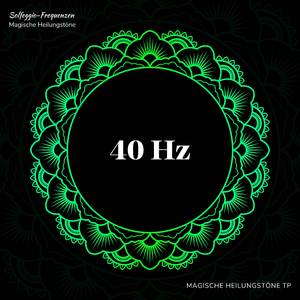 40 Hz: Beschleunigtes Lernen