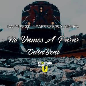 NO VAMOS A PARAR (feat. Papewancalavera & Delta Beat)