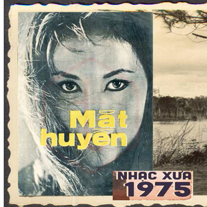 Nỗi Buồn Hoa Phượng
