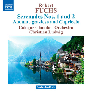 Serenade No. 2 in C Major, Op. 14:II. Larghetto