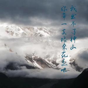 我出不了神山，你带一支格桑花走吧