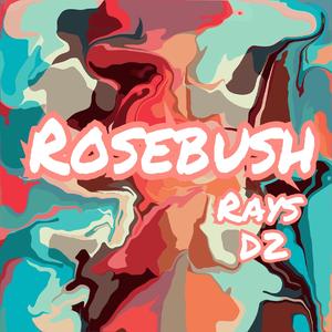 RoseBush(Prod by K1ER