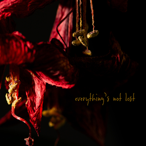 Everything's Not Lost