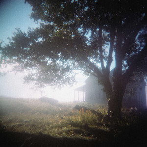 are you really happy