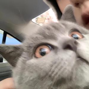 我喜欢上你时的内心活动