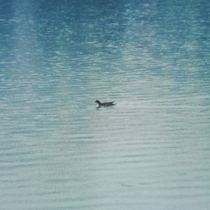 船后涟漪 Ripples In My Heart