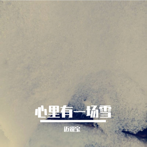 车窗外飘着雪 （最冷的不是雪）