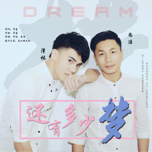 泽林 尚浩 - 还有多少梦