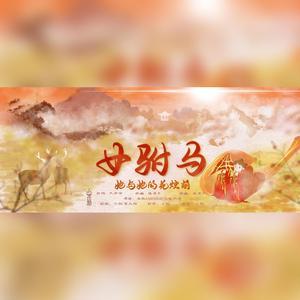 女驸马·她与她的花烛前【少年x御姐】