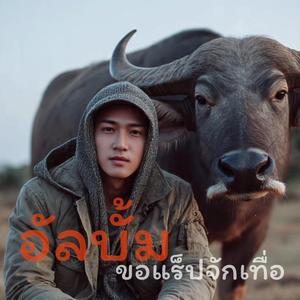 ขอบใจเด้อ