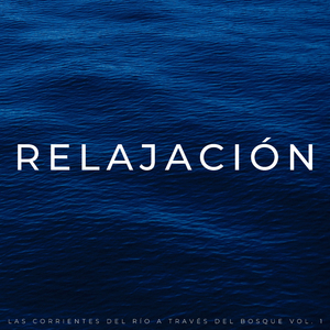 Ruido De Agua Para Dormir