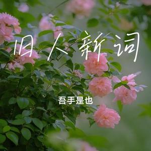 旧人新词
