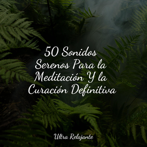 Hora de Música para Dormir