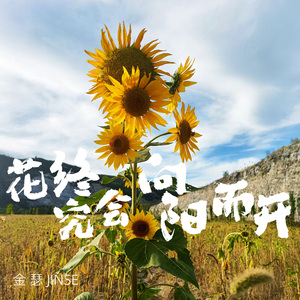 花终究向阳而开(伴奏）