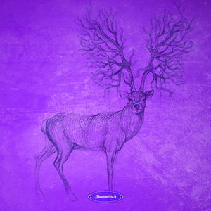 Phase Contrast (Original Mix)